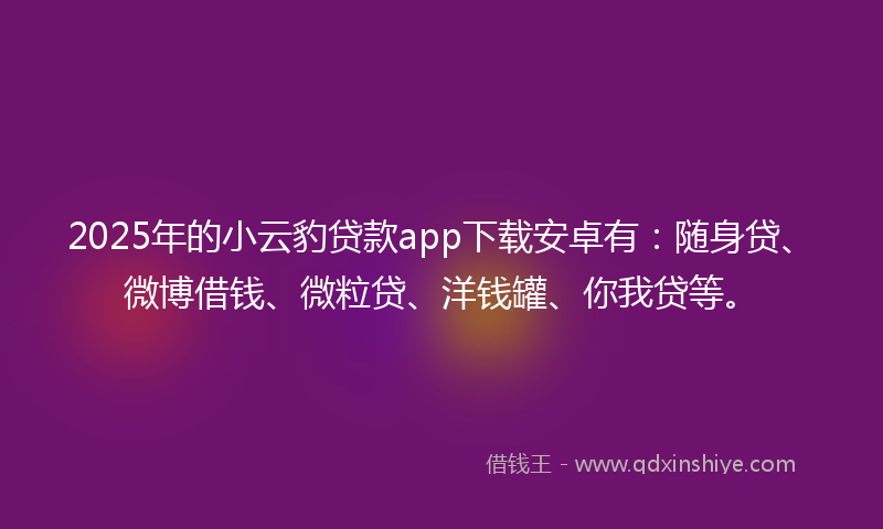 2025年的小云豹贷款app下载安卓有：随身贷、微博借钱、微粒贷、洋钱罐、你我贷等。