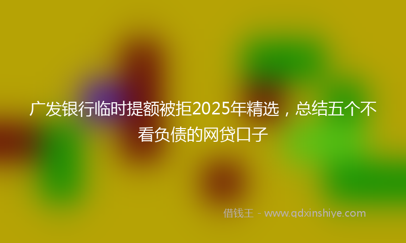 广发银行临时提额被拒2025年精选，总结五个不看负债的网贷口子