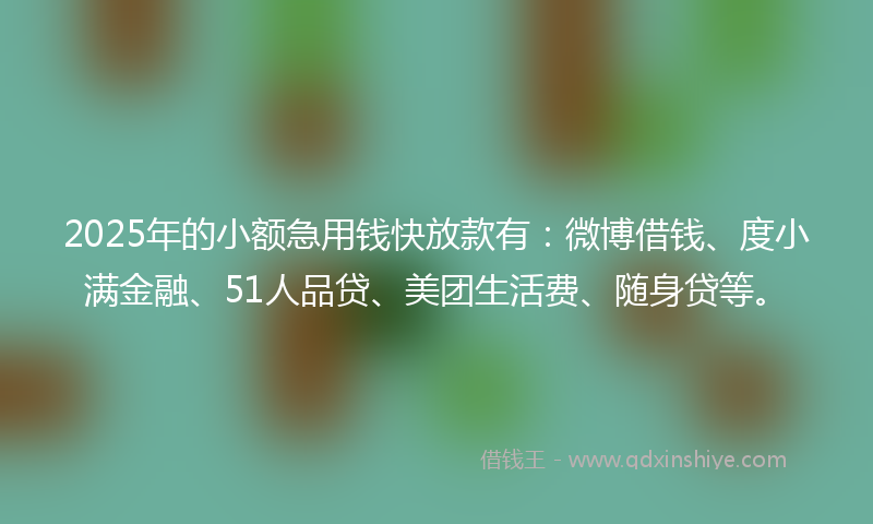 2025年的小额急用钱快放款有：微博借钱、度小满金融、51人品贷、美团生活费、随身贷等。