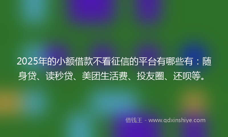 2025年的小额借款不看征信的平台有哪些有：随身贷、读秒贷、美团生活费、投友圈、还呗等。
