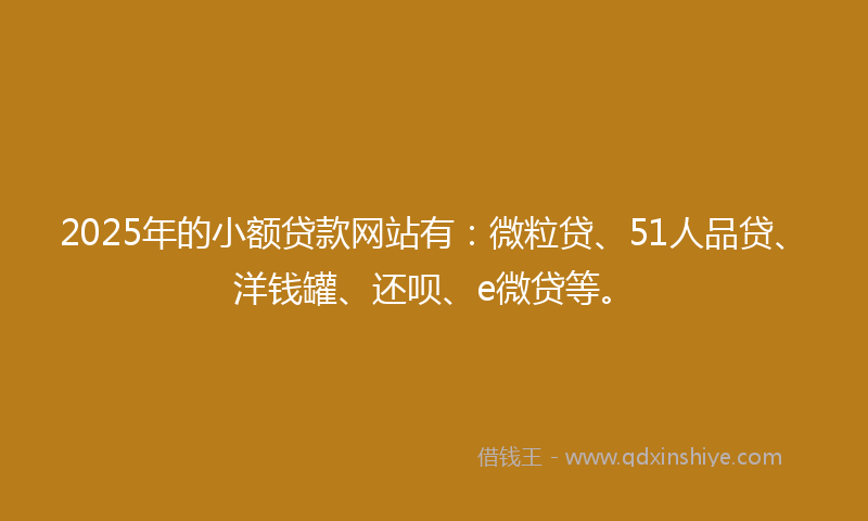 2025年的小额贷款网站有：微粒贷、51人品贷、洋钱罐、还呗、e微贷等。