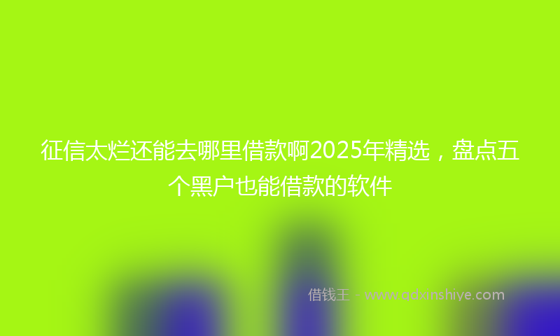 征信太烂还能去哪里借款啊2025年精选，盘点五个黑户也能借款的软件
