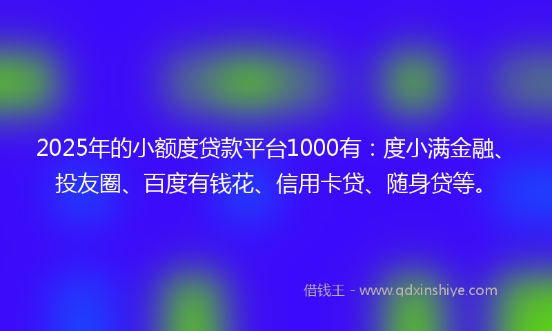 2025年的小额度贷款平台1000有：度小满金融、投友圈、百度有钱花、信用卡贷、随身贷等。