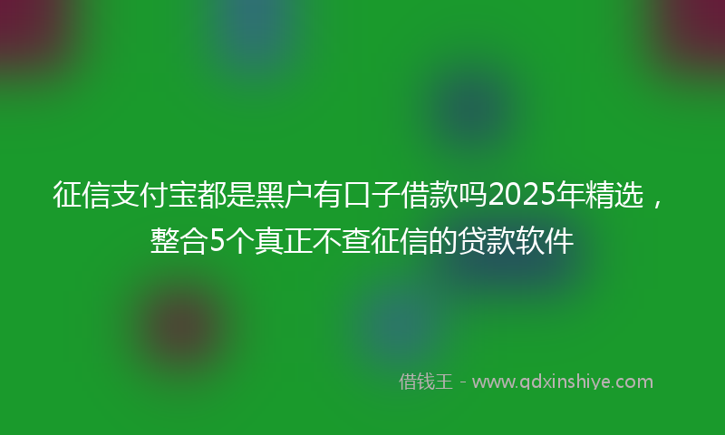 征信支付宝都是黑户有口子借款吗2025年精选，整合5个真正不查征信的贷款软件