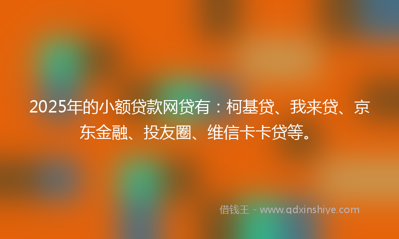 2025年的小额贷款网贷有：柯基贷、我来贷、京东金融、投友圈、维信卡卡贷等。