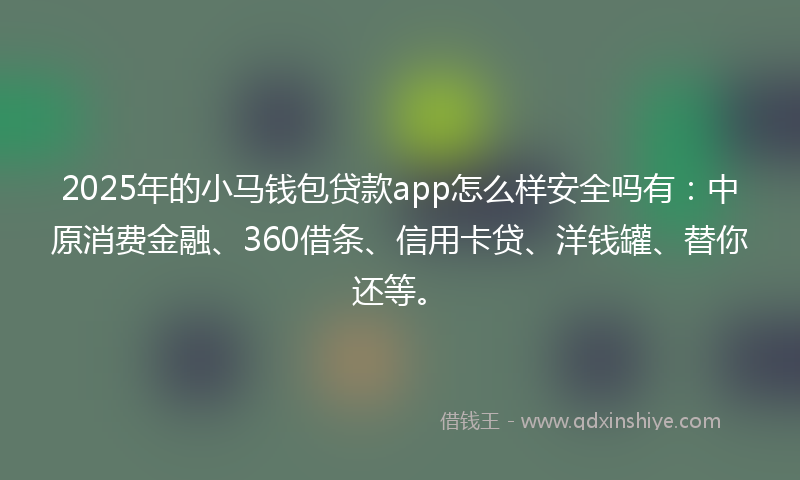 2025年的小马钱包贷款app怎么样安全吗有：中原消费金融、360借条、信用卡贷、洋钱罐、替你还等。
