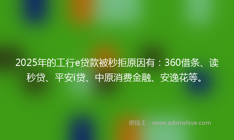 2025年的工行e贷款被秒拒原因有：360借条、读秒贷、平安i贷、中原消费金融、安逸花等。