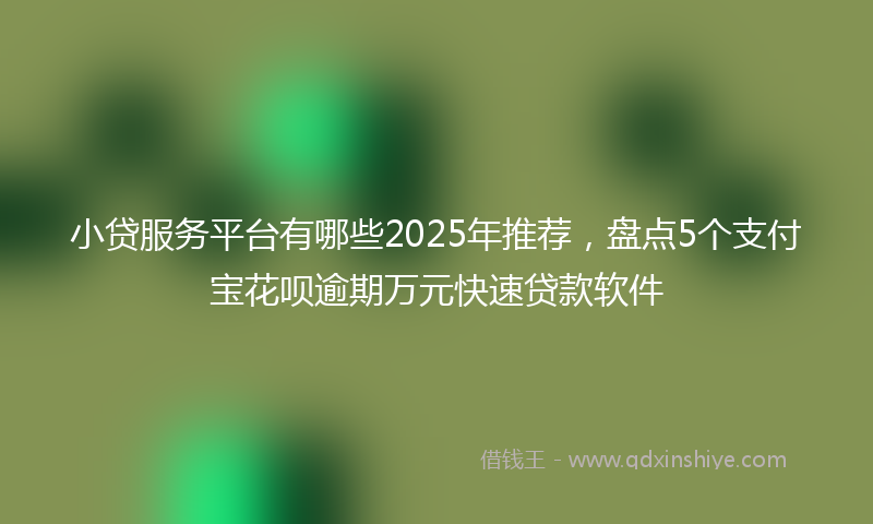 小贷服务平台有哪些2025年推荐，盘点5个支付宝花呗逾期万元快速贷款软件