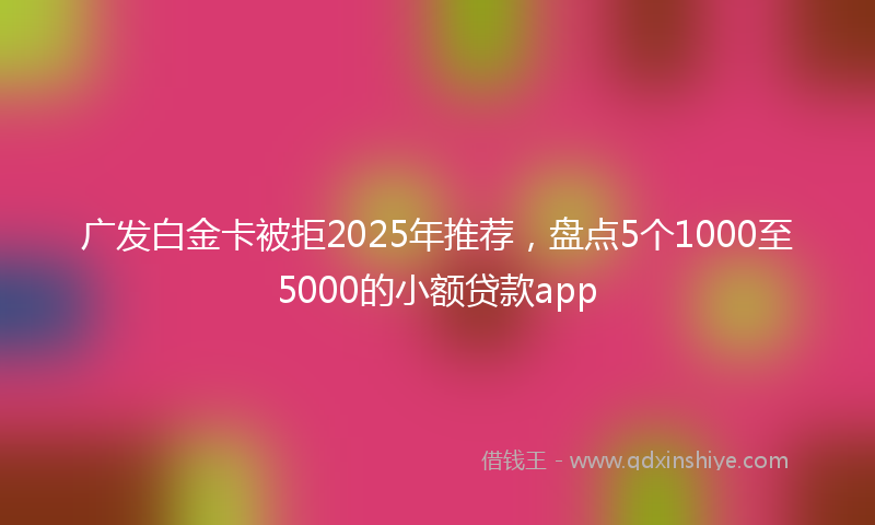 广发白金卡被拒2025年推荐，盘点5个1000至5000的小额贷款app