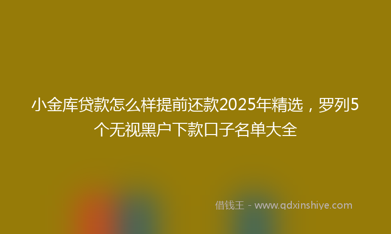 小金库贷款怎么样提前还款2025年精选，罗列5个无视黑户下款口子名单大全