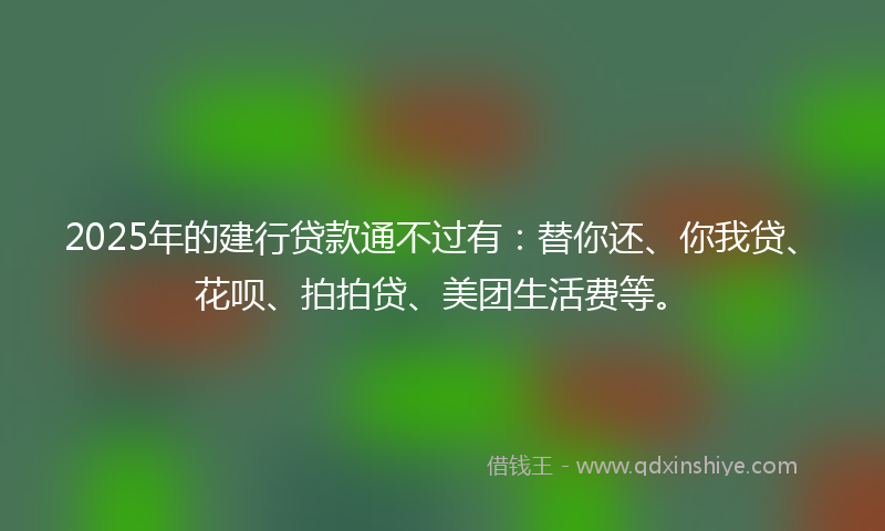 2025年的建行贷款通不过有：替你还、你我贷、花呗、拍拍贷、美团生活费等。