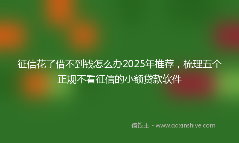 征信花了借不到钱怎么办2025年推荐，梳理五个正规不看征信的小额贷款软件