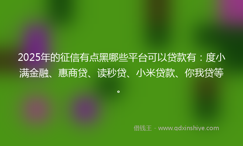 2025年的征信有点黑哪些平台可以贷款有：度小满金融、惠商贷、读秒贷、小米贷款、你我贷等。