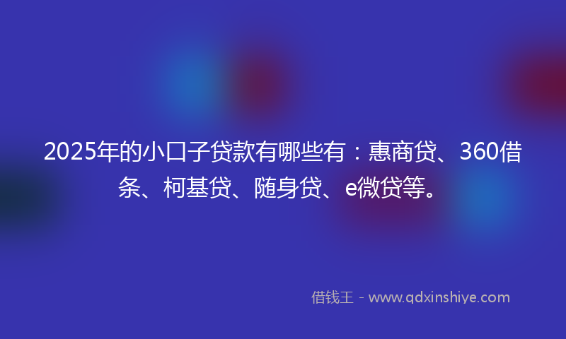 2025年的小口子贷款有哪些有：惠商贷、360借条、柯基贷、随身贷、e微贷等。