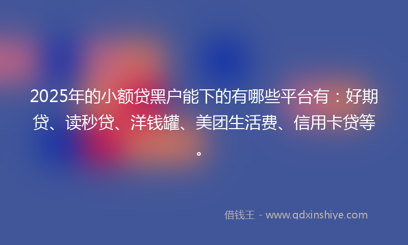2025年的小额贷黑户能下的有哪些平台有：好期贷、读秒贷、洋钱罐、美团生活费、信用卡贷等。