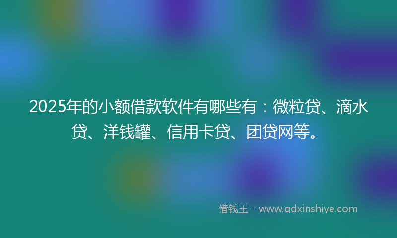 2025年的小额借款软件有哪些有：微粒贷、滴水贷、洋钱罐、信用卡贷、团贷网等。