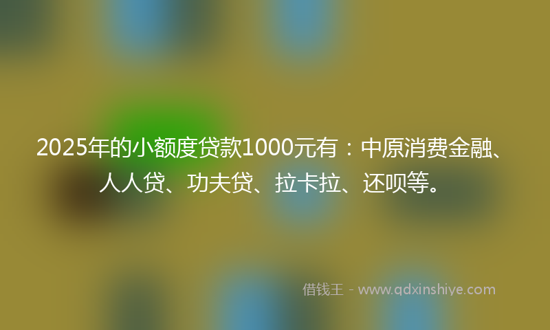 2025年的小额度贷款1000元有：中原消费金融、人人贷、功夫贷、拉卡拉、还呗等。