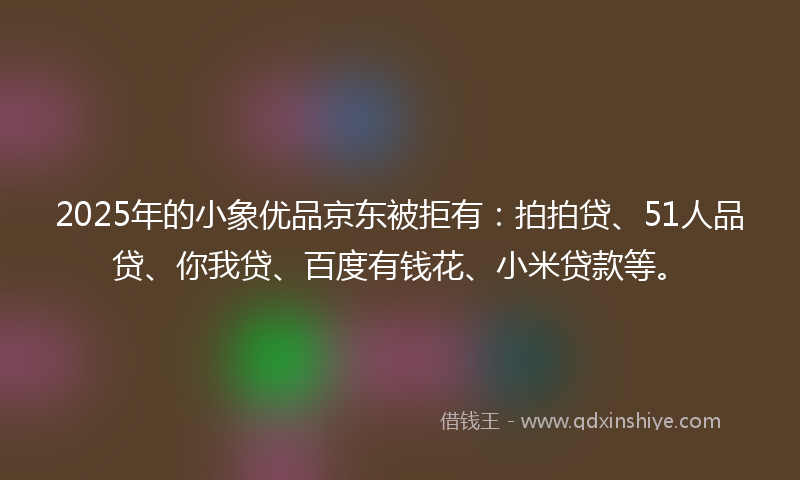 2025年的小象优品京东被拒有：拍拍贷、51人品贷、你我贷、百度有钱花、小米贷款等。