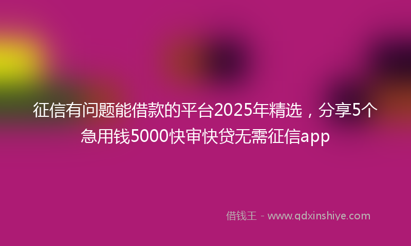 征信有问题能借款的平台2025年精选，分享5个急用钱5000快审快贷无需征信app