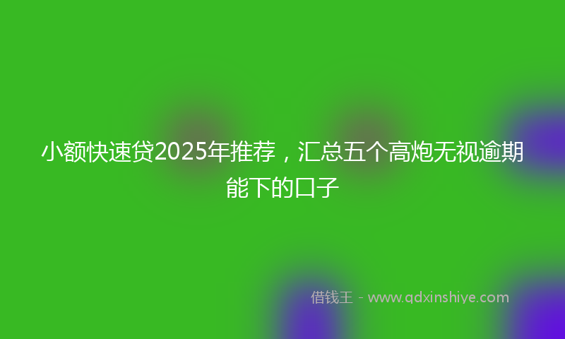小额快速贷2025年推荐，汇总五个高炮无视逾期能下的口子