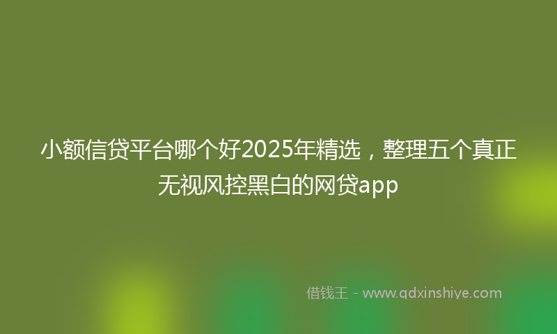 小额信贷平台哪个好2025年精选，整理五个真正无视风控黑白的网贷app