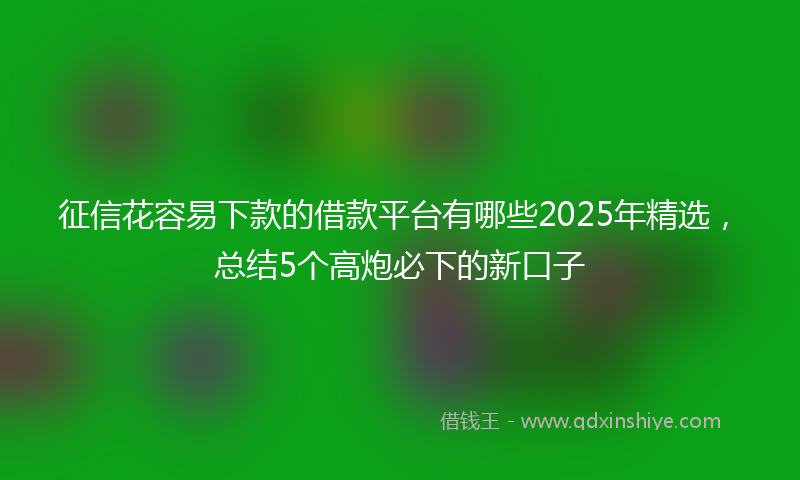 征信花容易下款的借款平台有哪些2025年精选，总结5个高炮必下的新口子