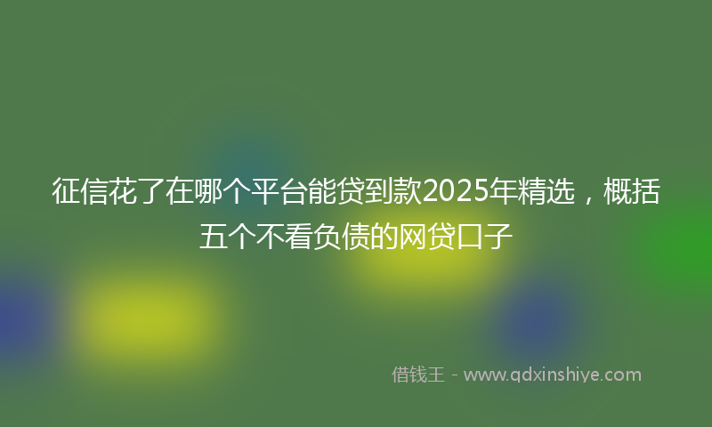 征信花了在哪个平台能贷到款2025年精选，概括五个不看负债的网贷口子