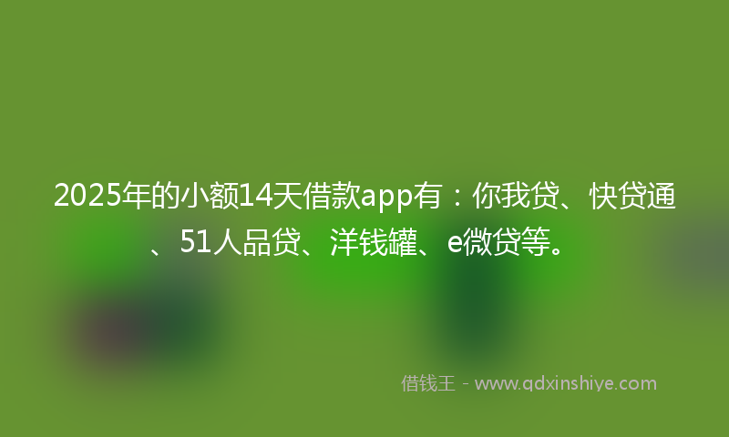 2025年的小额14天借款app有：你我贷、快贷通、51人品贷、洋钱罐、e微贷等。