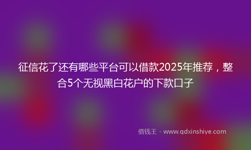 征信花了还有哪些平台可以借款2025年推荐，整合5个无视黑白花户的下款口子