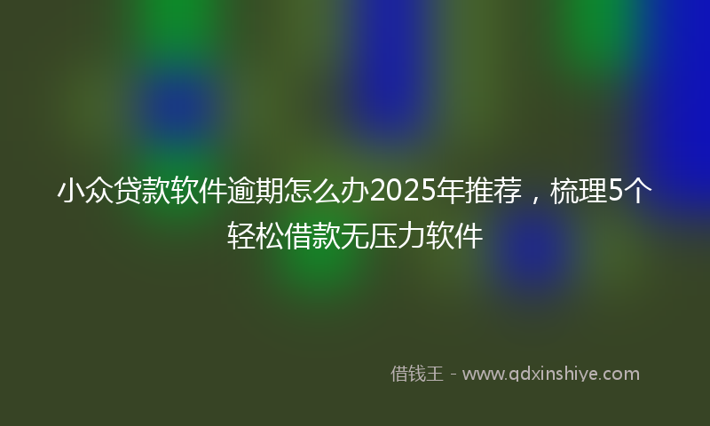 小众贷款软件逾期怎么办2025年推荐，梳理5个轻松借款无压力软件
