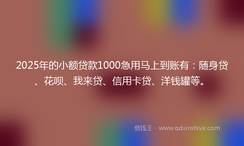 2025年的小额贷款1000急用马上到账有：随身贷、花呗、我来贷、信用卡贷、洋钱罐等。