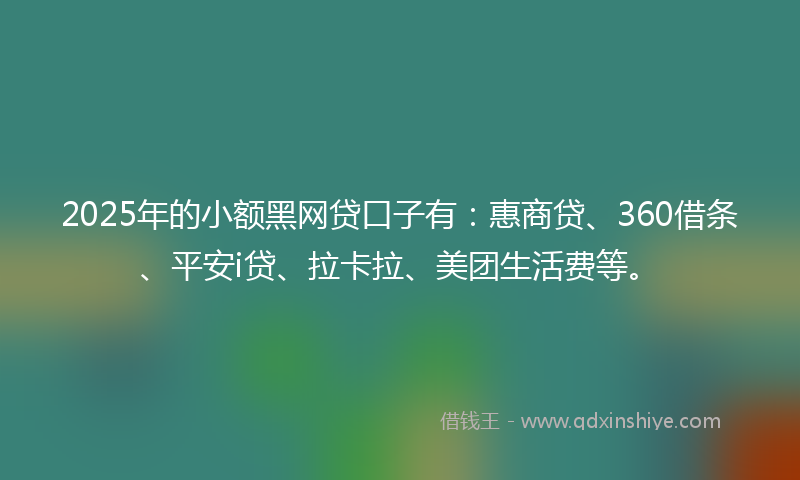 2025年的小额黑网贷口子有：惠商贷、360借条、平安i贷、拉卡拉、美团生活费等。