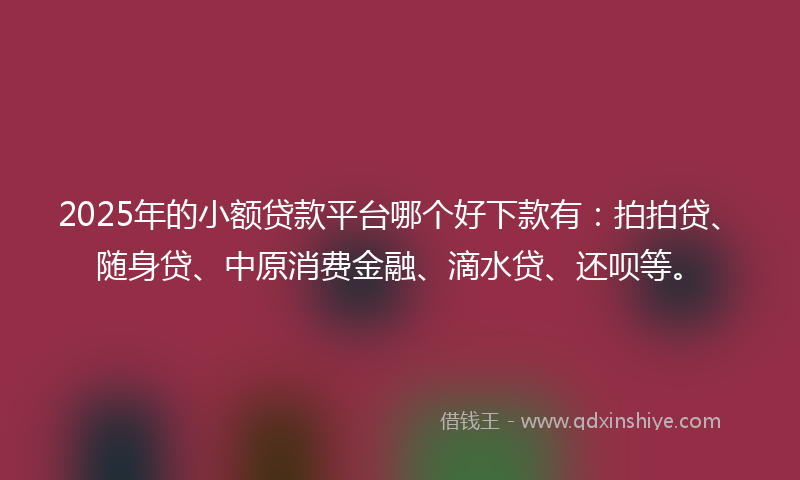 2025年的小额贷款平台哪个好下款有：拍拍贷、随身贷、中原消费金融、滴水贷、还呗等。