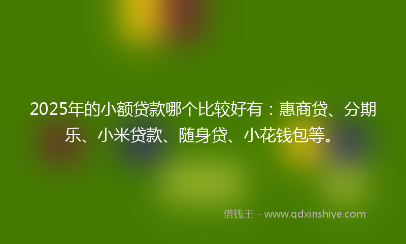 2025年的小额贷款哪个比较好有：惠商贷、分期乐、小米贷款、随身贷、小花钱包等。