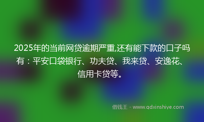 2025年的当前网贷逾期严重,还有能下款的口子吗有：平安口袋银行、功夫贷、我来贷、安逸花、信用卡贷等。