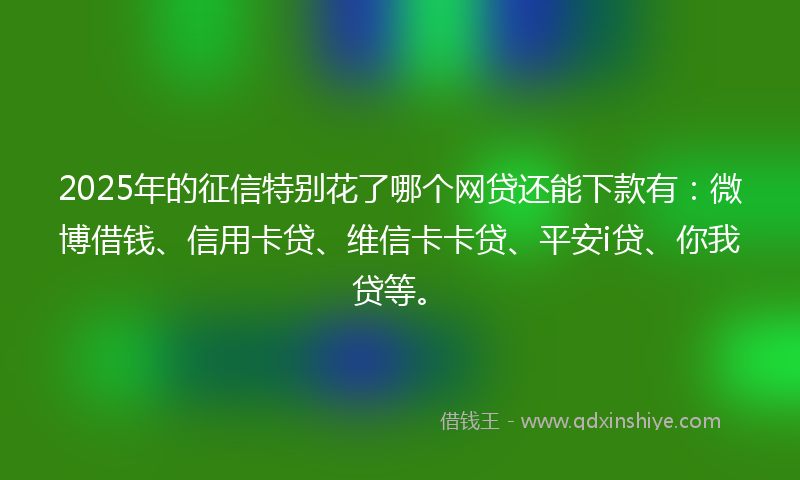 2025年的征信特别花了哪个网贷还能下款有：微博借钱、信用卡贷、维信卡卡贷、平安i贷、你我贷等。