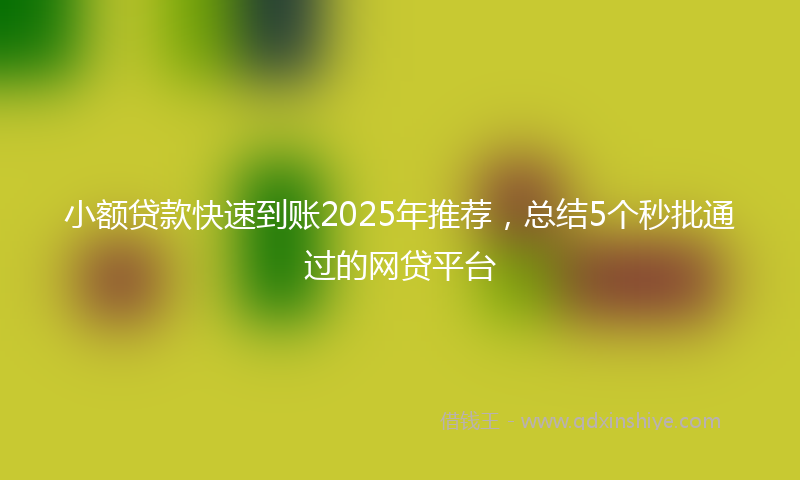 小额贷款快速到账2025年推荐，总结5个秒批通过的网贷平台