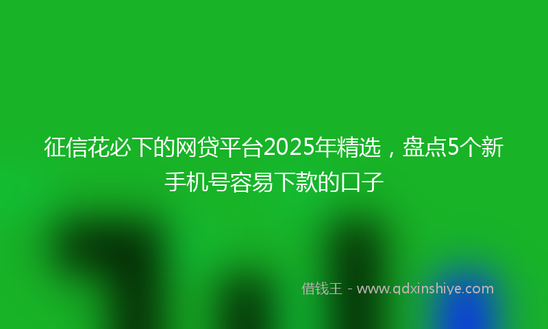 征信花必下的网贷平台2025年精选，盘点5个新手机号容易下款的口子