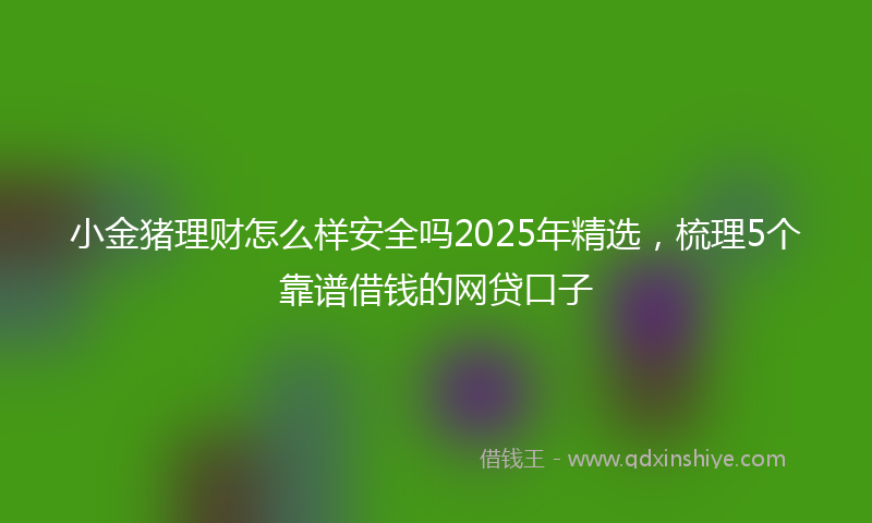小金猪理财怎么样安全吗2025年精选，梳理5个靠谱借钱的网贷口子