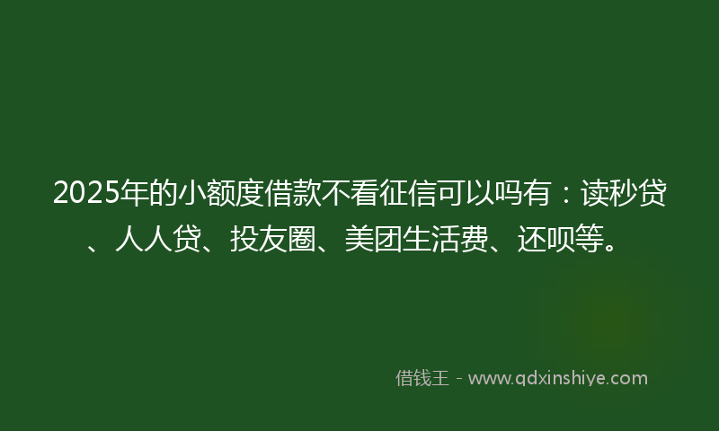2025年的小额度借款不看征信可以吗有：读秒贷、人人贷、投友圈、美团生活费、还呗等。