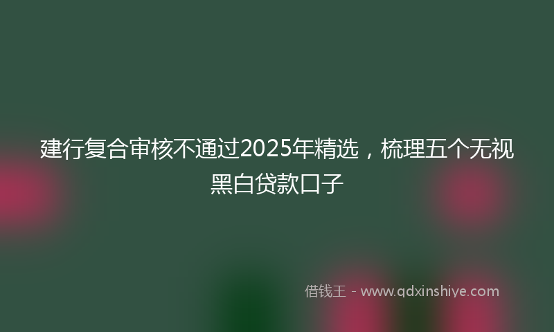 建行复合审核不通过2025年精选，梳理五个无视黑白贷款口子