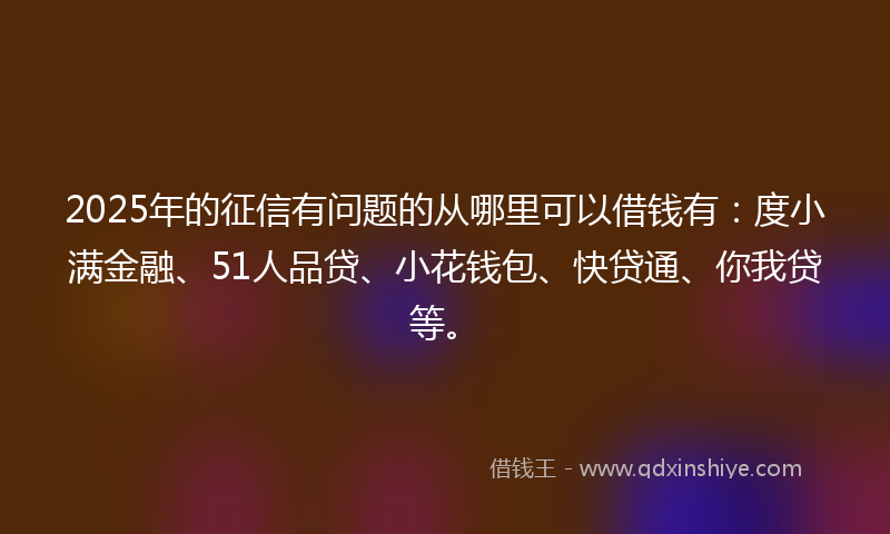 2025年的征信有问题的从哪里可以借钱有：度小满金融、51人品贷、小花钱包、快贷通、你我贷等。