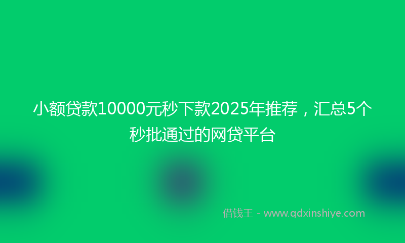 小额贷款10000元秒下款2025年推荐，汇总5个秒批通过的网贷平台