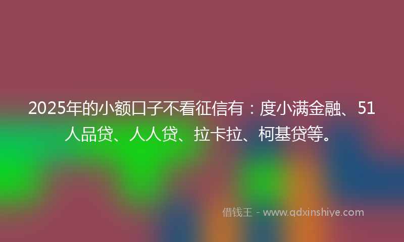 2025年的小额口子不看征信有：度小满金融、51人品贷、人人贷、拉卡拉、柯基贷等。