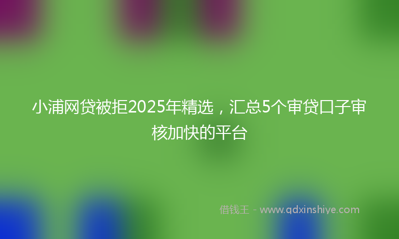 小浦网贷被拒2025年精选，汇总5个审贷口子审核加快的平台