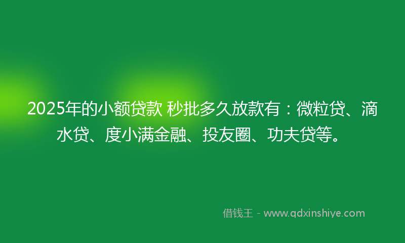 2025年的小额贷款 秒批多久放款有：微粒贷、滴水贷、度小满金融、投友圈、功夫贷等。