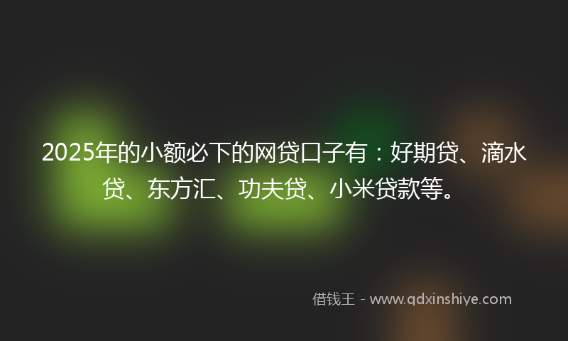 2025年的小额必下的网贷口子有：好期贷、滴水贷、东方汇、功夫贷、小米贷款等。