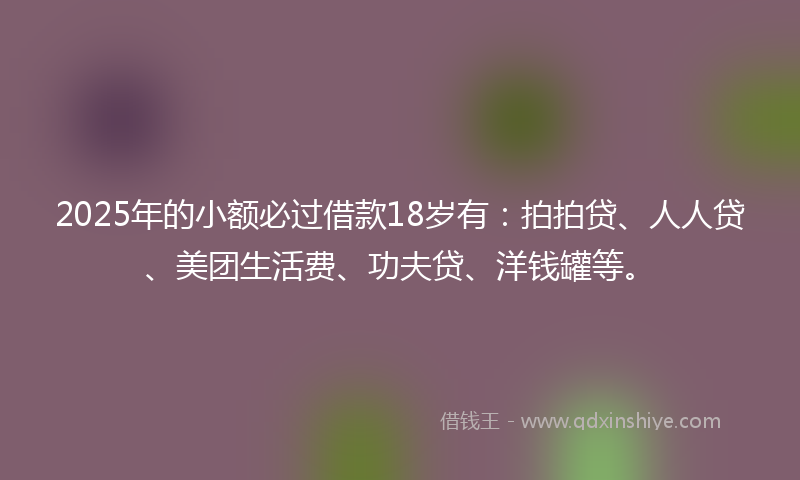 2025年的小额必过借款18岁有：拍拍贷、人人贷、美团生活费、功夫贷、洋钱罐等。