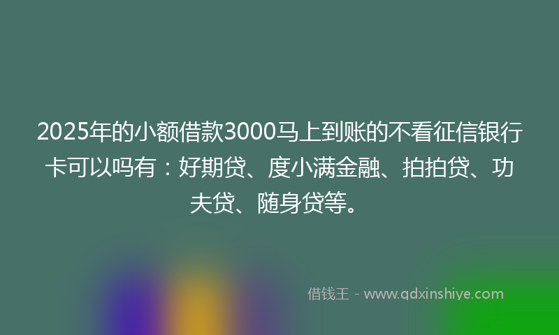 2025年的小额借款3000马上到账的不看征信银行卡可以吗有：好期贷、度小满金融、拍拍贷、功夫贷、随身贷等。