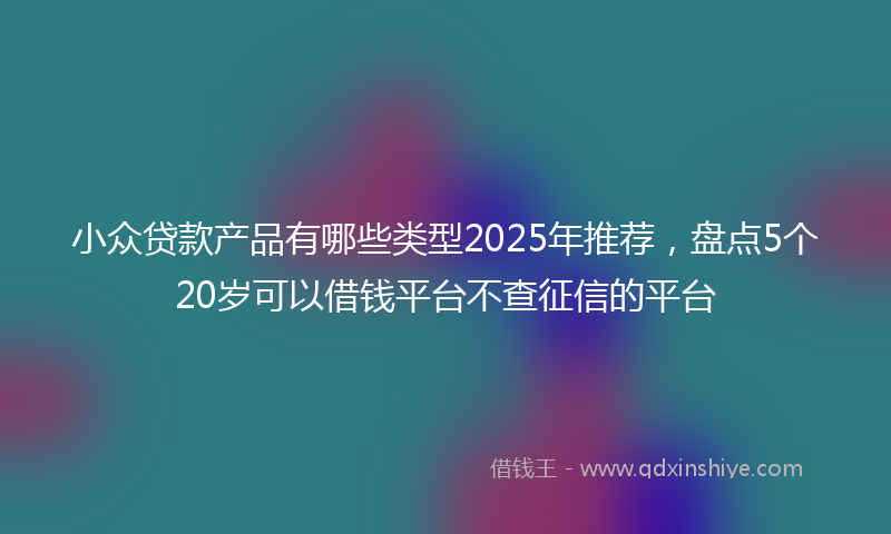 小众贷款产品有哪些类型2025年推荐，盘点5个20岁可以借钱平台不查征信的平台